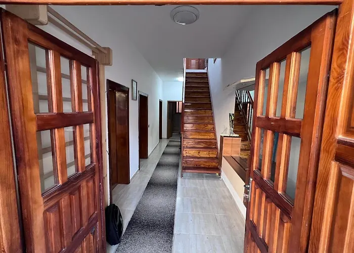 David Gæstehus Shkodër