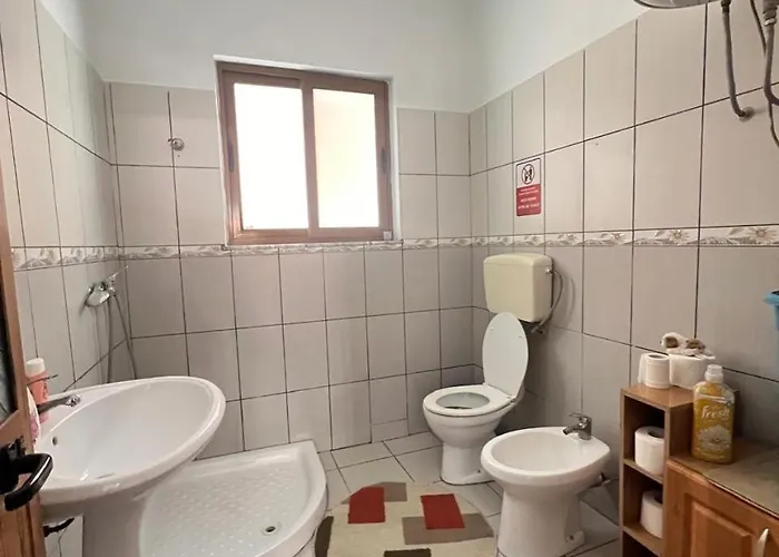 David Gæstehus Shkodër