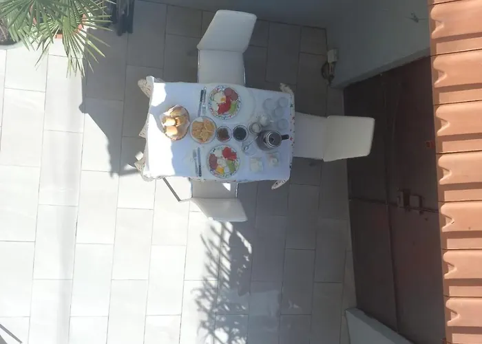 David Gæstehus Shkodër