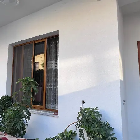 David Guest house